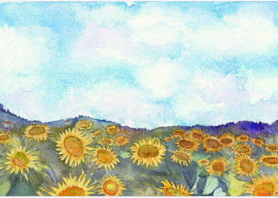 Sunflowers 13.5x7.5